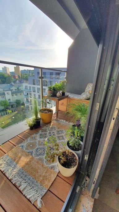 Apartment In City Center Przemyśl 外观 照片
